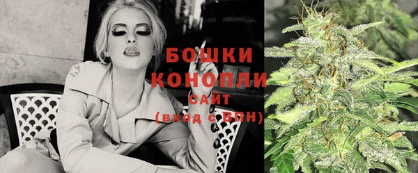 spice Володарск